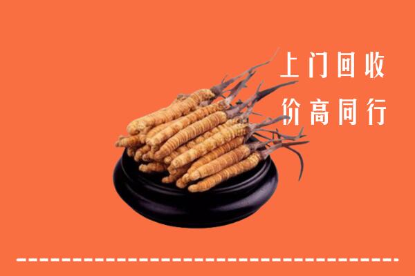 高价求购：宁海县回收散虫草